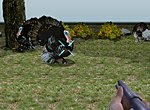 Turkey Shootout 3D