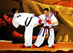 TaeKwon-Do