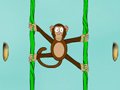Jungle Spider Monkey