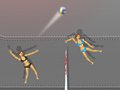 Ragdoll Volleyball