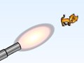 Kitten Cannon