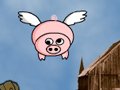 Fly Pig