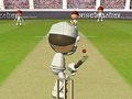 Flash Cricket 2