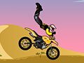 Acrobatic Rider