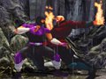 The Perfect Fighter