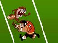 Taz Football Frenzy