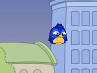 Корзина птицы