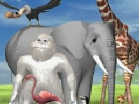 Полет фламинго