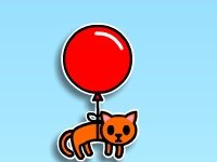 Воздушный кот