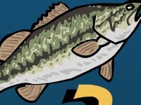 Маленький сом