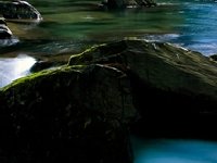 Объекты на природе