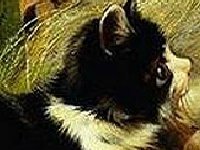 Cпрятанные числа