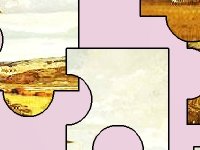 Семья диких уток