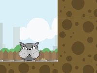 Забавные кошки