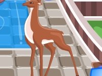 Хлопоты в зоопарке