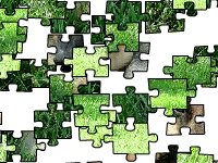 Немецкая овчарка