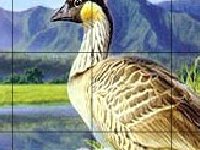 Утки и радуга