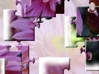 Красивые цветы