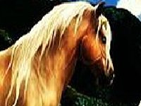 Фантастические лошади