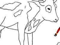 Пасущиеся коровы