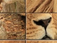 Большой лев