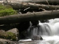 Лесной водопад