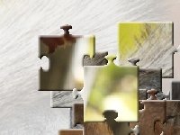 Вкусный орех