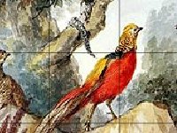 Птицы в лесу