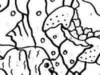 Подводный мир