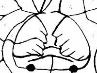 Водяная лилия