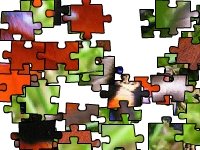 Порхающая бабочка