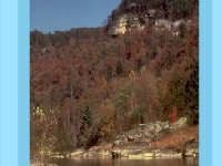 Большая южная развилка