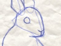 Китайский кролик