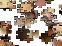 Коричневато-желтый олень