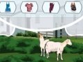 Маленькая пастушка