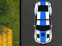 Парковка полицейской машины